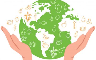 Narodowe Centrum Edukacji Żywieniowej|Deklaracje zgodności dla materiałów i wyrobów przeznaczonych do kontaktu z żywnością