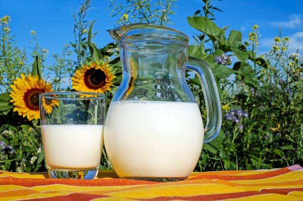Dlaczego osoby starsze powinny spożywać mleko i fermentowane napoje mleczne?