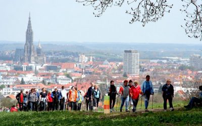 Fenomen Nordic Walking. Dlaczego zachęca się seniorów do marszu z kijami?