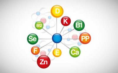 Witaminy i składniki mineralne