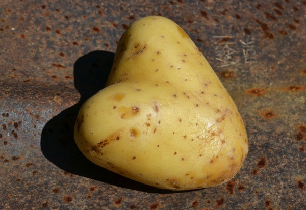 Ziemniak – niedoceniany produkt z witaminą C, potasem i błonnikiem