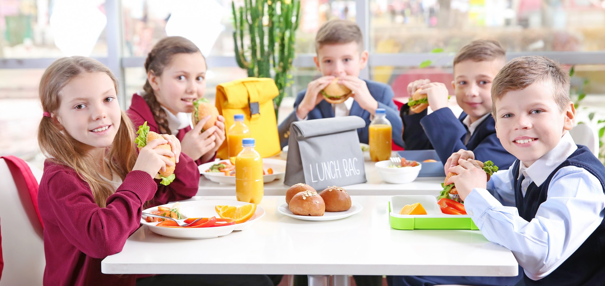 Narodowe Centrum Edukacji Żywieniowej | NCEZ – strona główna Image Alt 